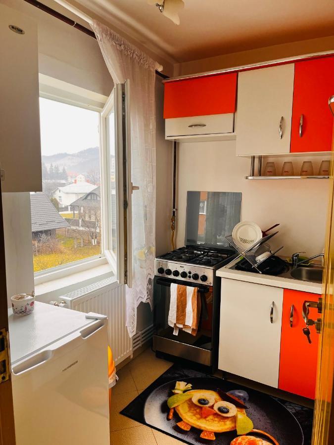 Lovely 1 Bedroom Apartment Câmpulung Moldovenesc Exteriör bild